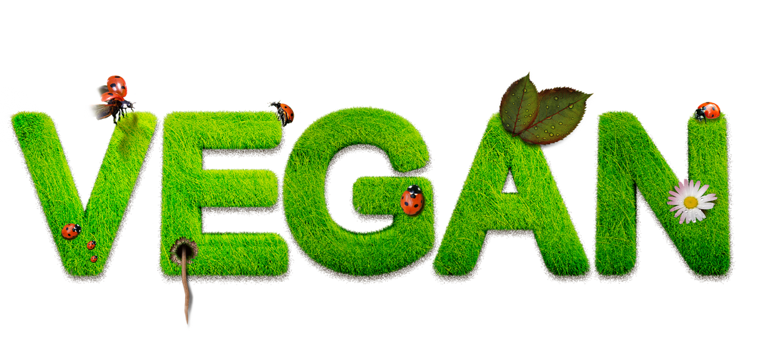 Természetes hangápolás – minden hókuszpókusz nélkül